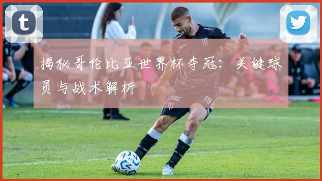 揭秘哥伦比亚世界杯夺冠:关键球员与战术解析