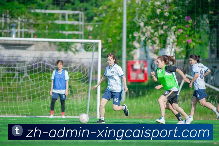 杏彩体育平台生态图