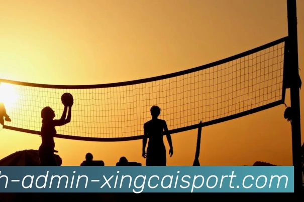 杏彩体育APP 封面图